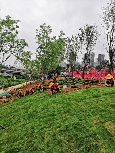 國藝園林大沙河生態(tài)長廊景觀項目綠化工程II標 假山的藝術與生態(tài)融合